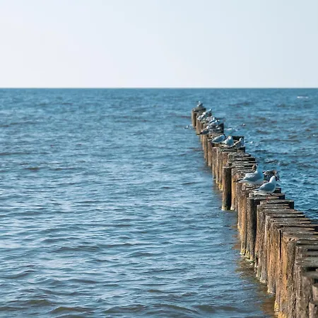 Essense Baltic & Aparthotel 4*